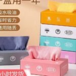 HOUSEHOLD REUSABLE ABSORBENT MULTIPURPOSE TOWEL/RAG••20PC/PACK