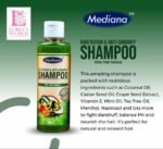MEDIANA HAIR REPAIR&ANTI DANDRUFF SHAMPOO

-It instantly detangles all hair types.
-It has natural components that are hair boosters.
-It is effectively made to protect your hair (Natural /Synthetic) from damages. - Image 2