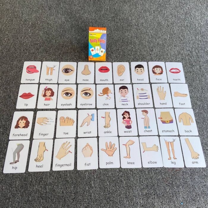 BODY PART: KIDS LEARNING FLASH CARDS(36PC CARDS) - Image 2