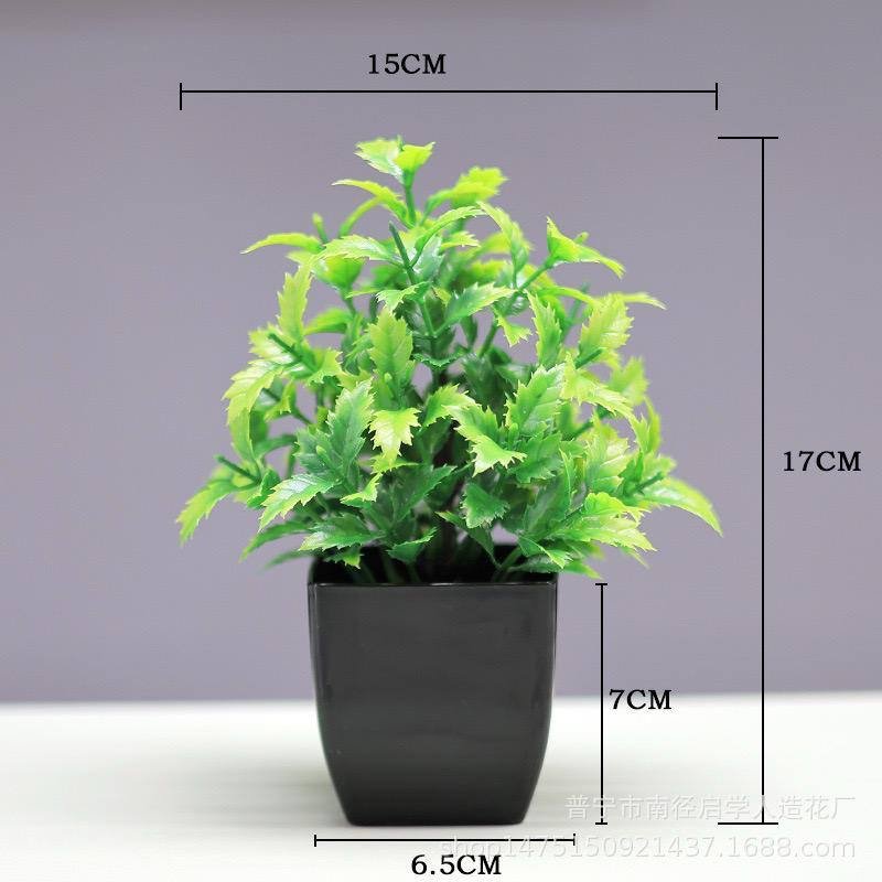 img_1891 HEPHZIBAH POTTED PLANT HOME AND OFFICE DECOR 7 - Image 1
