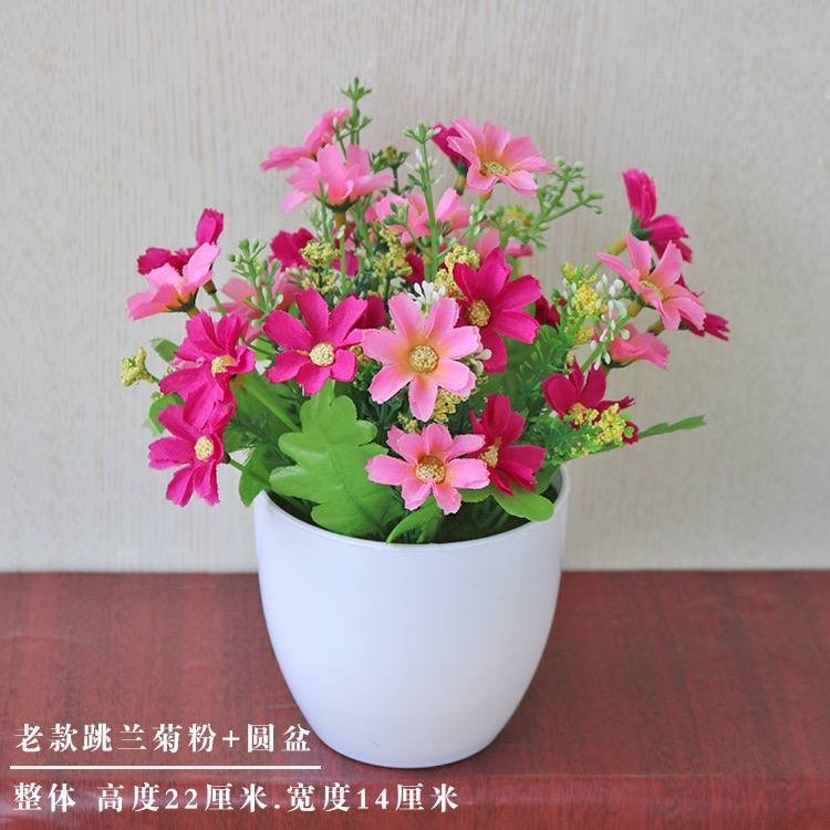 img_1915 NAOMI POTTED PLANT HOME AND OFFICE DECOR 1 - Image 1