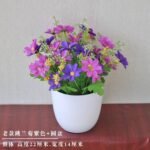 NAOMI POTTED PLANT HOME AND OFFICE DECOR 1 - Image 3