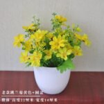 NAOMI POTTED PLANT HOME AND OFFICE DECOR 1 - Image 4