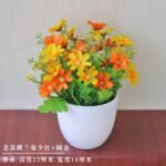 NAOMI POTTED PLANT HOME AND OFFICE DECOR 1 - Image 6