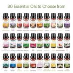 10ML PLANT SCENTED HUMIDIFIER FRAGRANCE OIL {Space Sweet Atmosphere GUARANTEED!}

FLAVOR:DIFFERENT FLAVORS