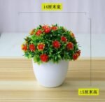RYAN POTTED PLANT HOME AND OFFICE DECOR 11