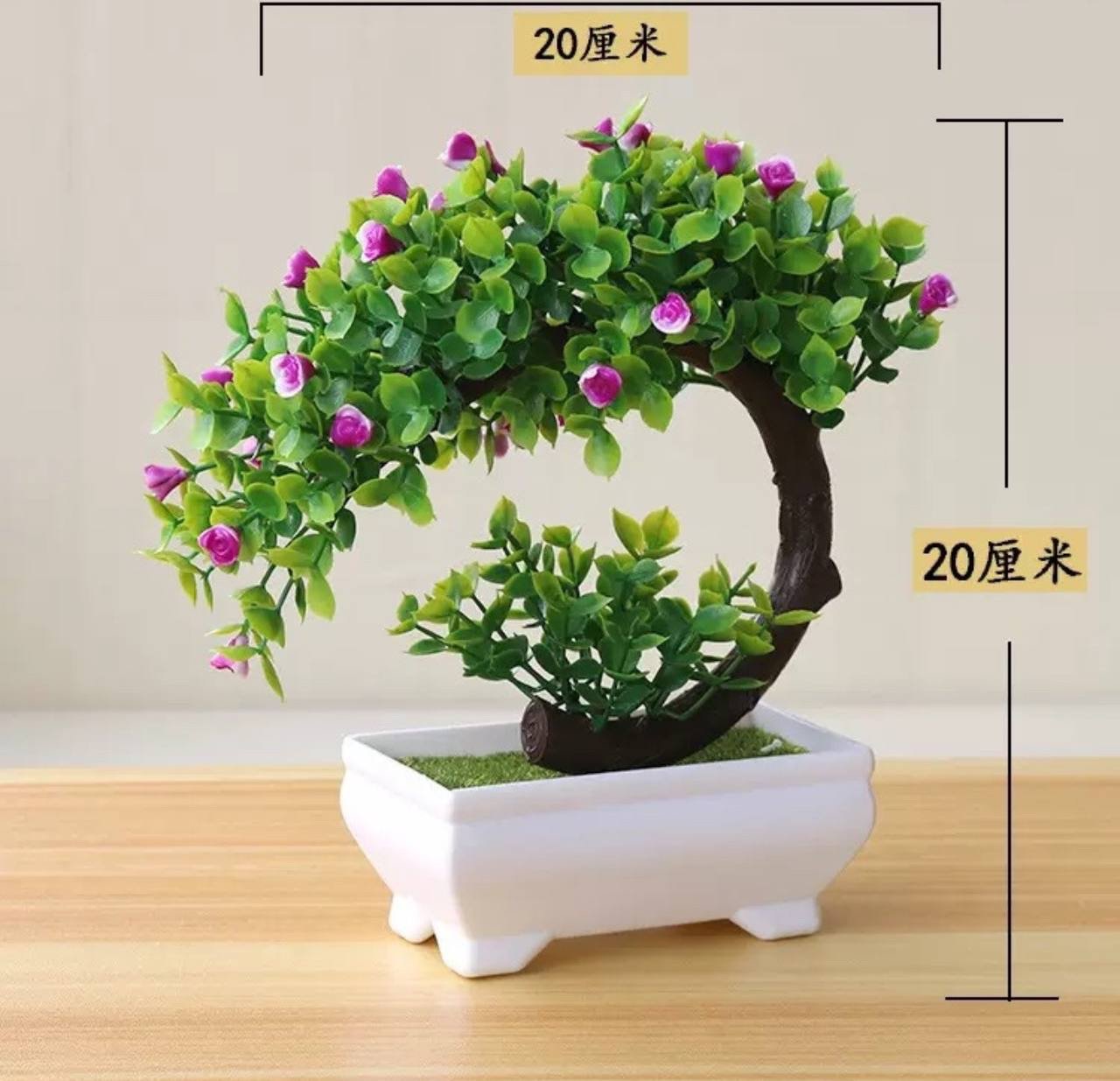 img_3966 DRAVY POTTED PLANT HOME AND OFFICE DECOR 10 - Image 1