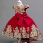 SUZZY EMBROIDERY LONG BACK GOWN 

ITS A TOE LENGTH GOWN