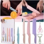 5PC KNIFE SET,SKIN PEELER AND CHICKEN SCISSORS