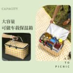 COLLAPSIBLE INSULATED DOUBLE HANDLE COLORFUL PICNIC BAG BIG SIZE - Image 6