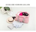 LIGHT TRAVELLING/CARRIER COLLAPSIBLE BAG 2026 - Image 4