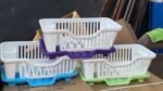 (ON SALES) FANCY MINI QUALITY PLATE RACK(Grade 1)
