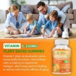 VITAMIN C GUMMIES(SUPPORT IMMUNE SYSTEM)
60pc gummies in a bottle - Image 3